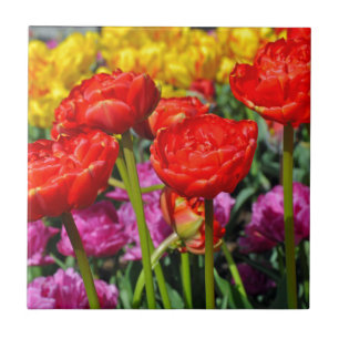 Red double tulips ceramic tile