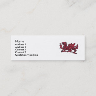 Red drag, Name, Address 1, Address 2, Contact 1... Mini Business Card