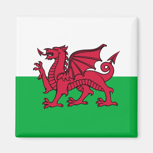 Red Dragon Celtic Flag of Wales & Welsh Magnet (Front)