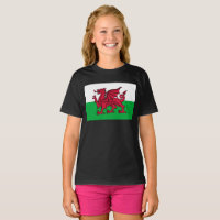 Red Dragon Celtic Flag of Wales & Welsh