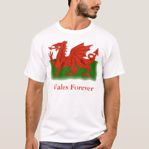 Red Dragon Shirt