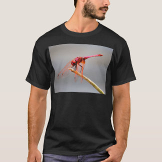 red dragonfly 5 T-Shirt