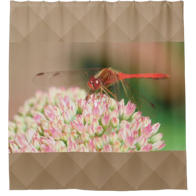 Red Dragonfly Image Shower Curtain (Front)