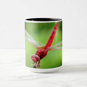 Red Dragonfly Mug