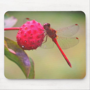 Red Dragonfly Nature Mouse Pad