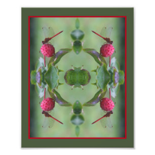 Red Dragonfly On Dogwood Fruit Abstract 8x10 Photo Print