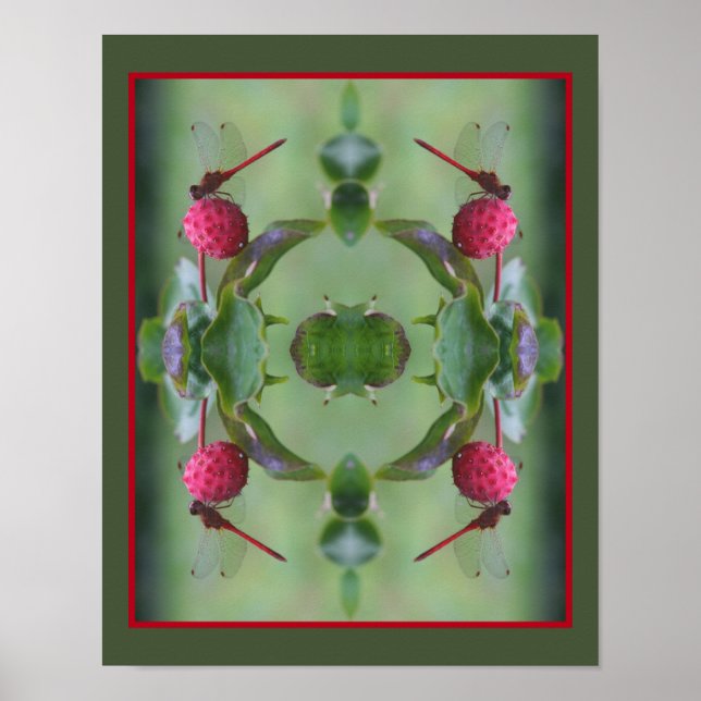 Red Dragonfly On Dogwood Fruit Abstract Poster (Front)