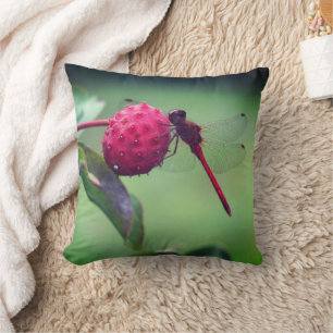 Red Dragonfly On Dogwood Fruit Close Up Cushion