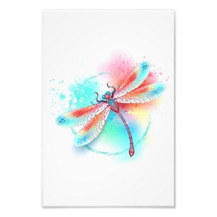 Red dragonfly on watercolor background photo print