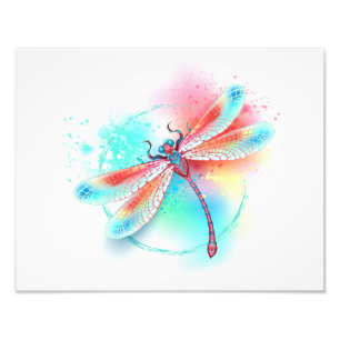 Red dragonfly on watercolor background photo print