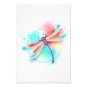 Red dragonfly on watercolor background photo print