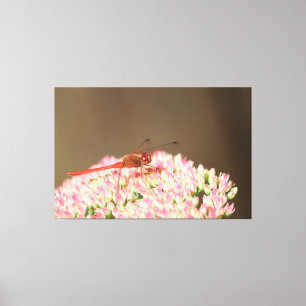 Red Dragonfly Photograph Canvas Print