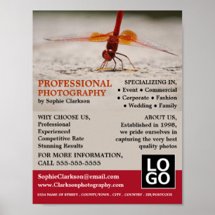 Red Dragonfly, Photography, Photographer Hire Poster