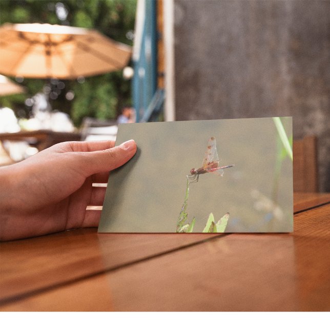Red dragonfly resting on a straw postcard (Creator Uploaded)