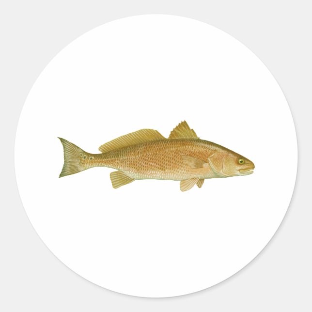 Red Drum Classic Round Sticker (Front)