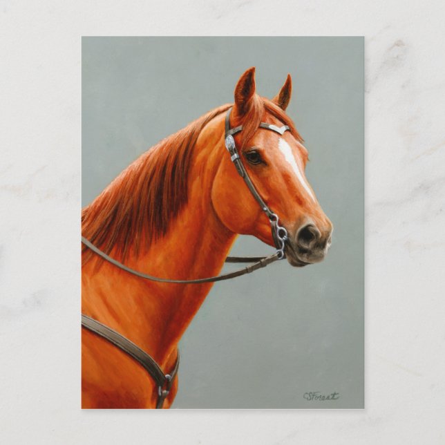 Red Dun Chestnut Sorrel Western Quarter Horse Postcard (Front)