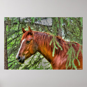 Red Dun Mare Horse in a Forest Equine Photo Poster