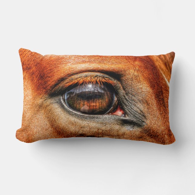 Red Dun Mare Horse's Eye Equine Photo Lumbar Cushion (Front)