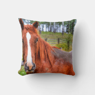Red Dun Ranch Horse Animal-lover Photo 2 Cushion