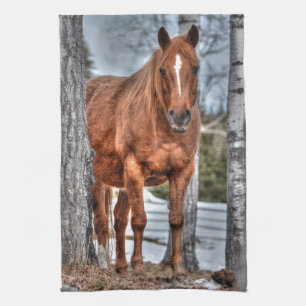 Red Dun Ranch Horse Animal-lover Photo Tea Towel