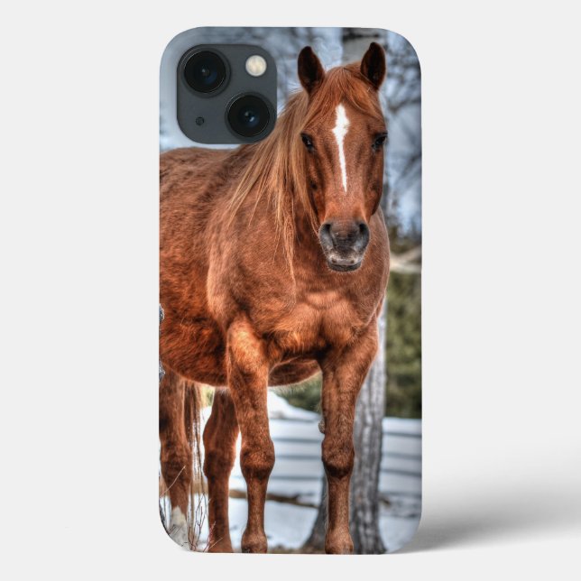 Red Dun Ranch Horse Equine-lover Photo Case-Mate iPhone Case (Back)