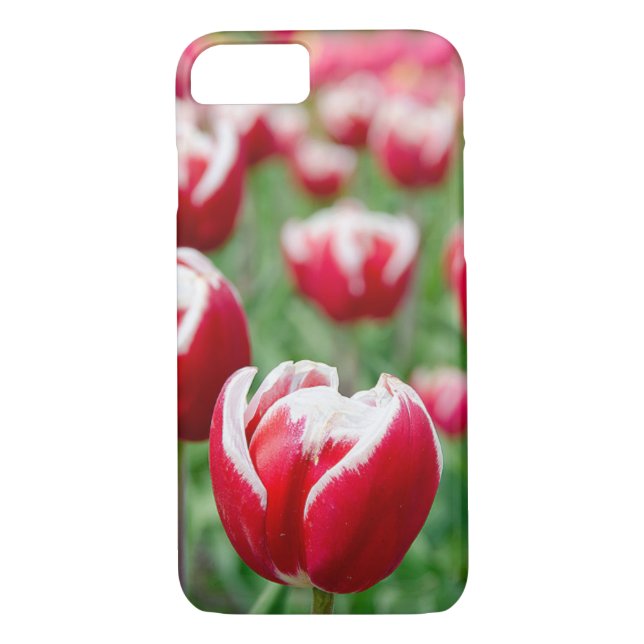 red Dutch tulips Case-Mate iPhone Case (Back)