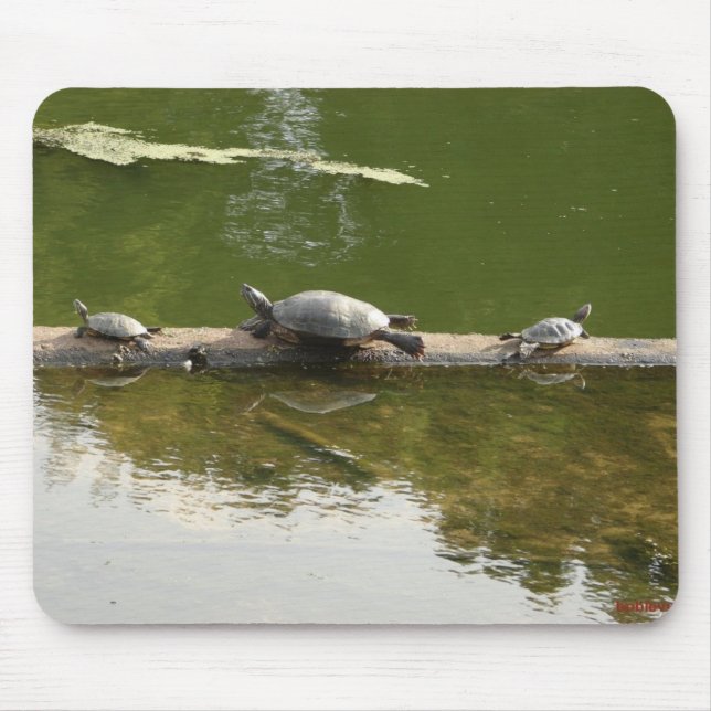 red ear sliders mouse pad (Front)