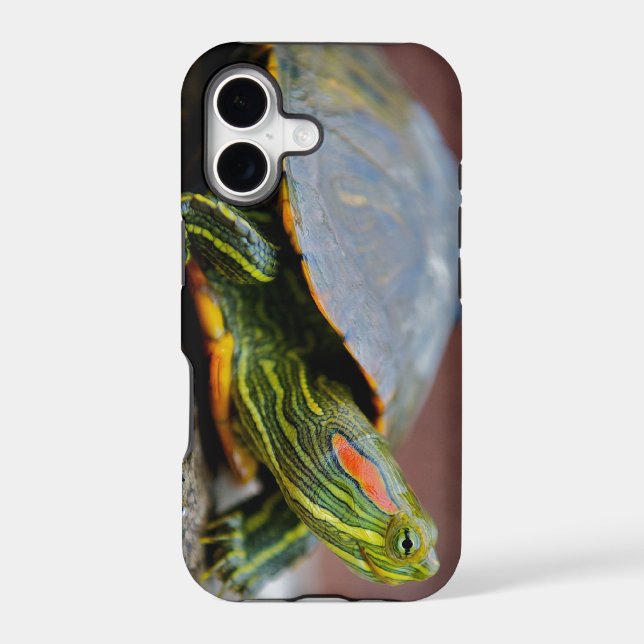 Red-eared Slider Side View (Back)