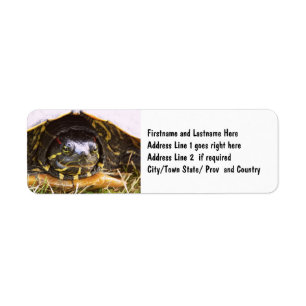 Red Eared Slider Turtle Head Return Address Label