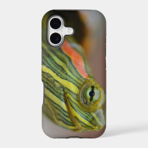 Red-eared Slider Turtle iPhone case
