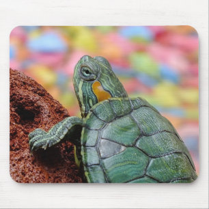 Red-eared slider turtle mouse pad