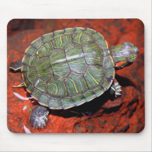 Red-eared Turtle Mouse Pad