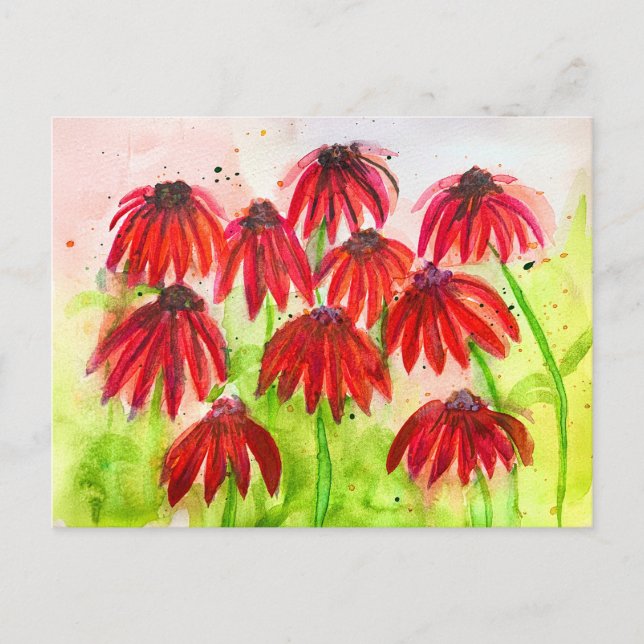 Red Echinacea Blooms Watercolor Botanical Art Holiday Postcard (Front)