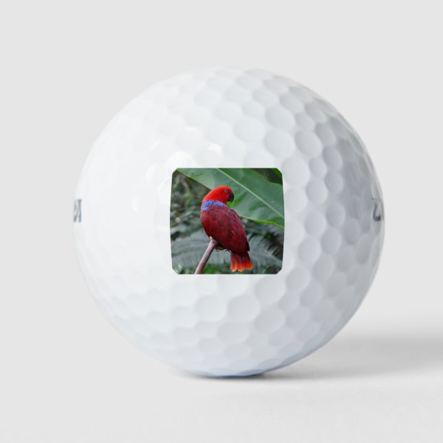 Red eclectic parrot golf balls (Front)