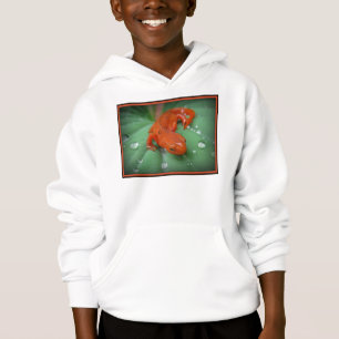 Red Eft/newt