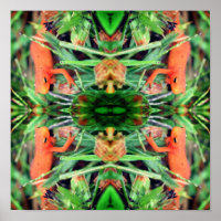 Red Eft Orange Salamander Mirror Abstract