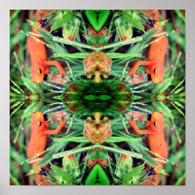 Red Eft Orange Salamander Mirror Abstract Poster (Front)