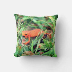 Red Eft Orange Salamander Nature 1 Cushion