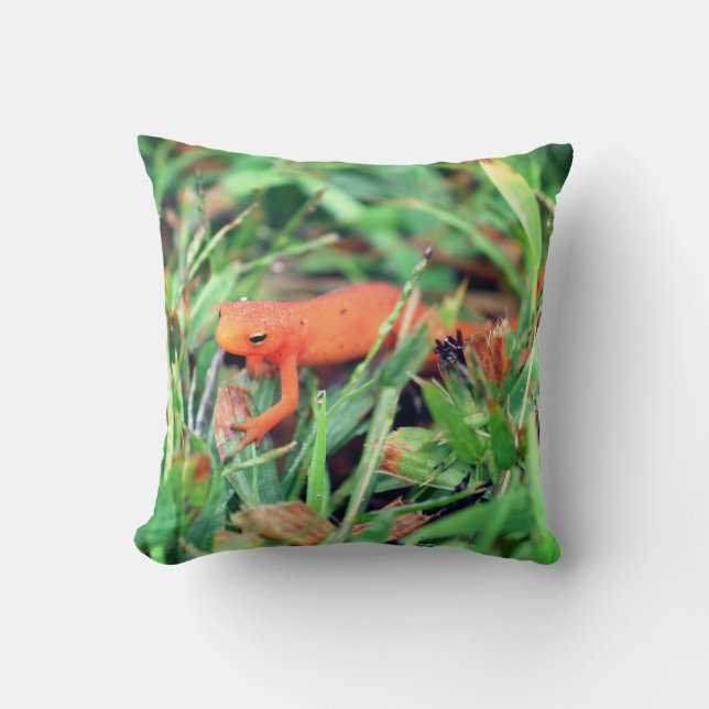 Red Eft Orange Salamander Nature 1  Cushion (Front)