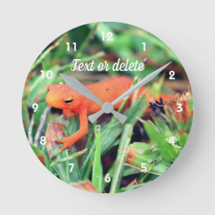 Red Eft Orange Salamander Nature Personalised Round Clock