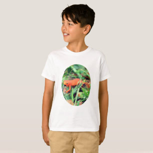 Red Eft Orange Salamander Nature   T-Shirt