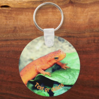 Red Eft Salamander Nature Personalised