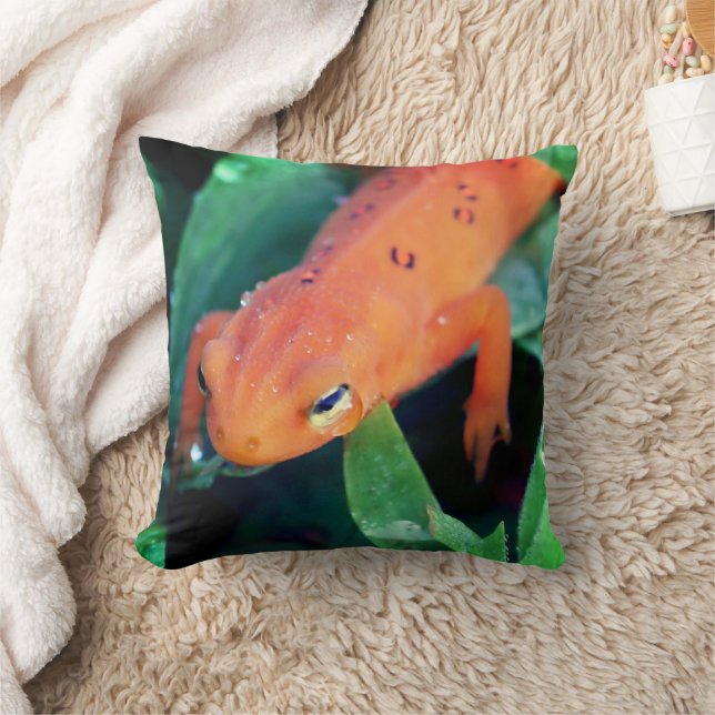 Red Eft Salamander Raindrop On Eye   Cushion (Blanket)