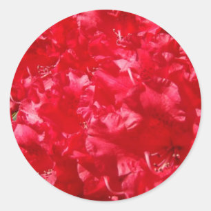 Red Envelop Seals Floral Flowers Rhododendrons