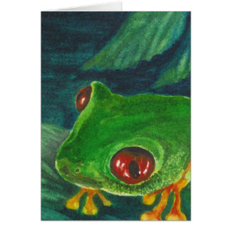 red eye green tree frog