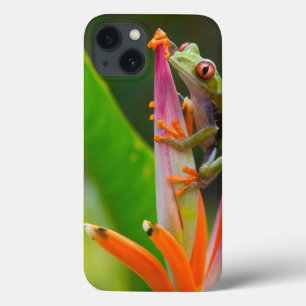 Red-eye tree frog, Costa Rica 2 iPhone 13 Case