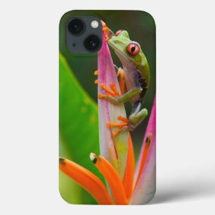 Red-eye tree frog, Costa Rica iPhone 13 Case