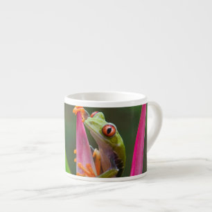 Red-eye tree frog, Costa Rica Espresso Cup