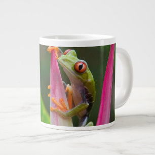 Red-eye tree frog, Costa Rica Large Coffee Mug