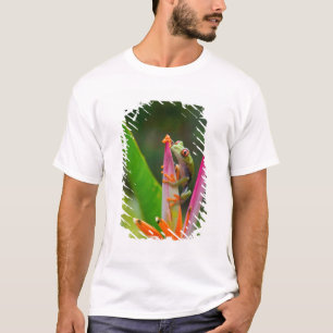 Red-eye tree frog, Costa Rica T-Shirt